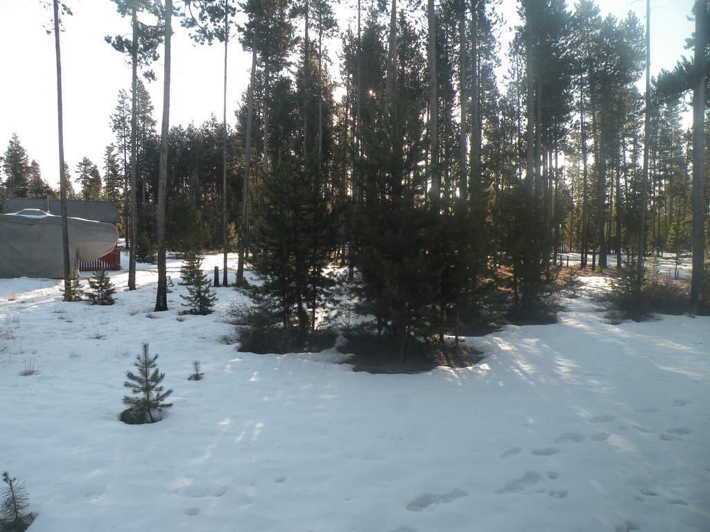 Cozy Cabin Lapine La Pine Dış mekan fotoğraf