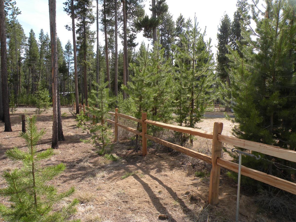 Cozy Cabin Lapine La Pine Dış mekan fotoğraf